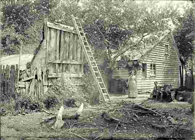 Upper Hutt. The Sarjeant house and backyard, 17 March 1897